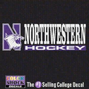 Northwestern University Hockey Outside Application Decal