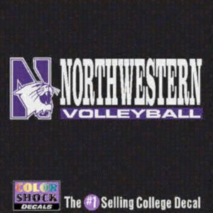 Northwestern University Volleyball Outside Application Decal