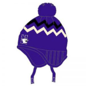 Northwestern Wildcats Colosseum Toddler Knit Cap