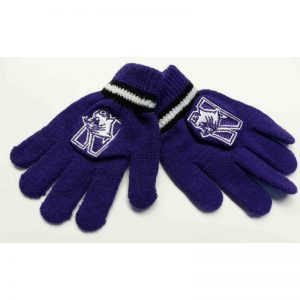 Northwestern Wildcats Toddler Knit Gloves 