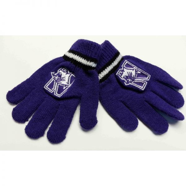 Northwestern Wildcats Child (4-7) Knit Gloves