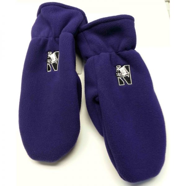 Northwestern Wildcats Adult Mittens