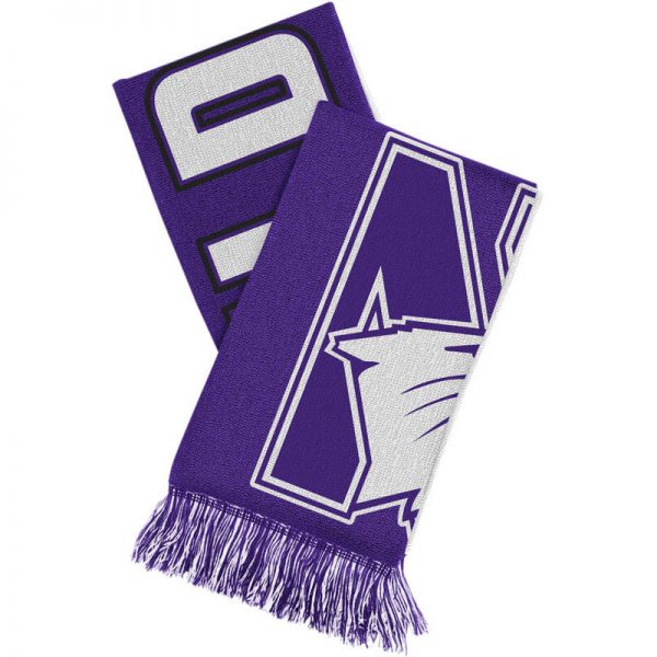Northwestern Wildcats Adult Reversible Knit Scarf