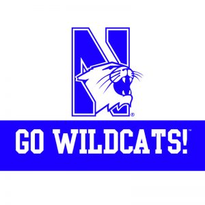 Northwestern Wildcats "Go Wildcats" Notecard with Envelope  
