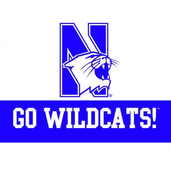 Northwestern Wildcats "Go Wildcats" Notecard with Envelope