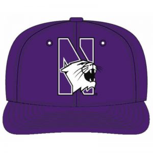 Northwestern Wildcats Purple Snapback Hat with N-cat Design