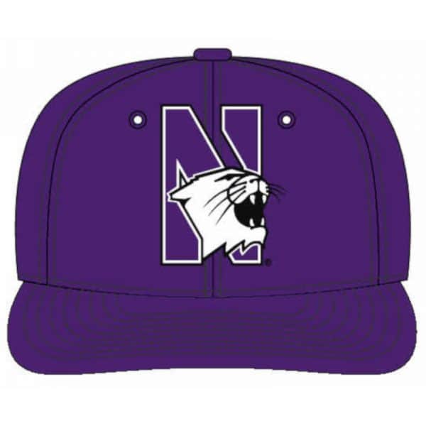 Northwestern Wildcats Purple Snapback Hat with N-cat Design