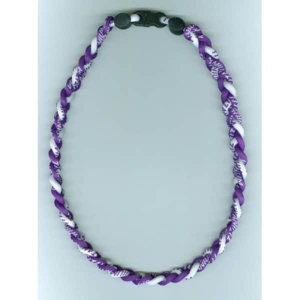 Northwestern Wildcats Titanium Ionic Sports Purple Necklace