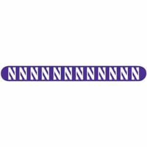 Northwestern Wildcats Purple Nail File with N Design