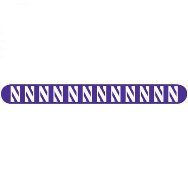Northwestern Wildcats Purple Nail File with N Design