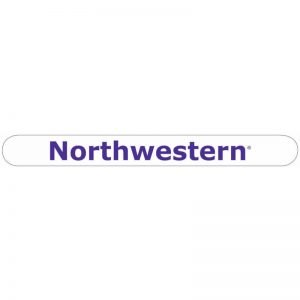 Northwestern Wildcats White Nail File with Northwestern Design