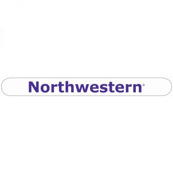 Northwestern Wildcats White Nail File with Northwestern Design