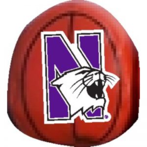 Northwestern Wildcats Beanball Basketball