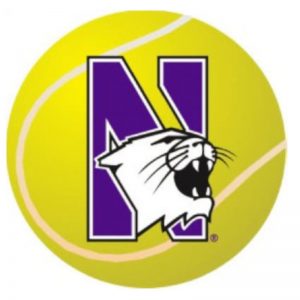 Northwestern Wildcats Outside Application Decal with N-cat on a Full Color Tennis Ball Image  6" x 6"     