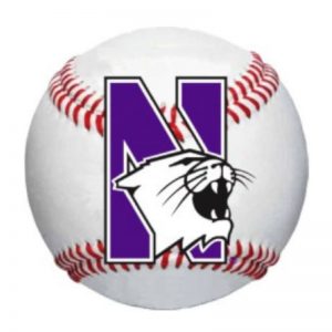 Northwestern University Wildcats Outside Application Decal with N-cat on a Full Color Baseball Ball Image