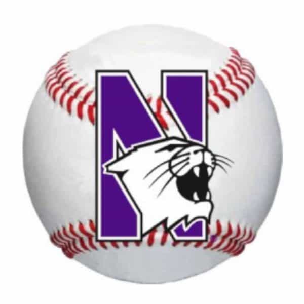 Northwestern University Wildcats Outside Application Decal with N-cat on a Full Color Baseball Ball Image