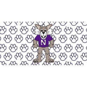 Northwestern Wildcats Thick Mirrored Acrylic Plate with Multicolor Willie The Wildcat Design
