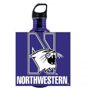Northwestern Wildcats 32 oz. Excursion Stainless Steel Bottle With Multicolor N-Cat Design