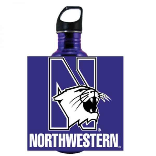 Northwestern Wildcats 32 oz. Excursion Stainless Steel Bottle With Multicolor N-Cat Design