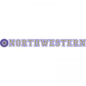 Northwestern Wildcats Static Cling Inside Application Decal with Seal Design 1.5"X13.5"