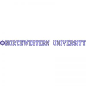 Northwestern Wildcats Static Cling Inside Application Decal with Seal Design 1.5"X23.5"
