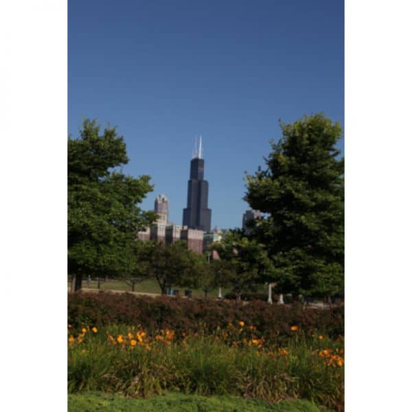 Chicago Postcard: Willis (Sears) Tower CPC0049