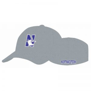 Northwestern Wildcats Grey Flexfit Mesh Hat