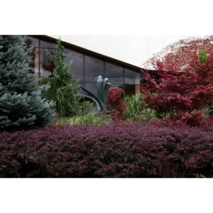 Northwestern Wildcats Postcard Block Museum of Art, Mary and Leigh NU0014