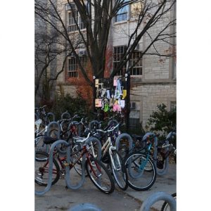 Northwestern Wildcats Postcard Parking Zone on Northwestern Campus NU0021