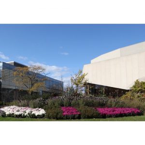 Northwestern Wildcats Postcard Block Museum of Art & Pick-Staiger Concert Hall NU0026