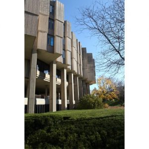 Northwestern Wildcats Postcard University Library NU0033