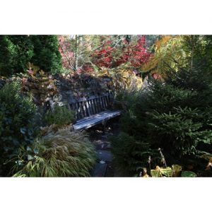 Northwestern Wildcats Postcard Bench by Deering Library NU0043