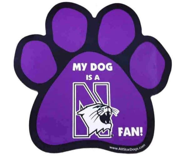 Northwestern University Wildcats Pow Magnet