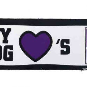 Northwestern University Wildcats Bone Magnet