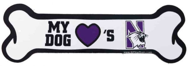 Northwestern University Wildcats Bone Magnet