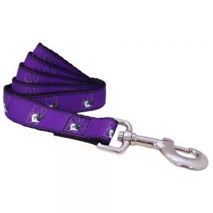 Northwestern University Wildcats Dog Leash 5/8" Thick