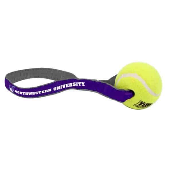 Northwestern University Wildcats Pet Play Ball
