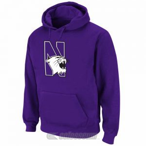 Northwestern Wildcats Colosseum Men's Huddle Fleece Hoodie