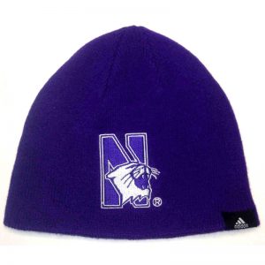 Northwestern Wildcats Toddler Knit Cap 