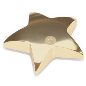 Northwestern Wildcats Mascot Design Gold Medallion Star Paperweight