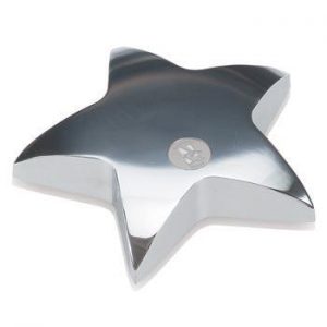 Northwestern Wildcats Mascot Design Silver Medallion Star Paperweight