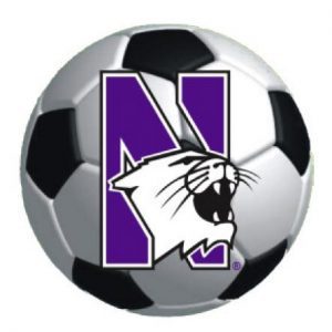 Northwestern Wildcats Outside Application Decal with N-cat on a Full Color Soccer Ball Image  6" x 6"            