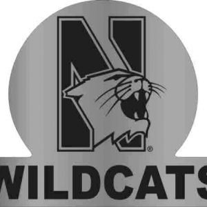 Northwestern Wildcats Auto Badge with N-Cat Wildcats Design