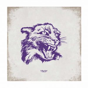 Northwestern Wildcats Square Vintage Canvas Wall Art with Vintage Wildcat Logo 14"X14"