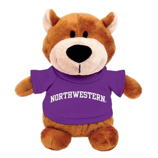 Northwestern Wildcats Bean Bag Buddy Bear Wearing a Purple Northwestern Tee Shirt