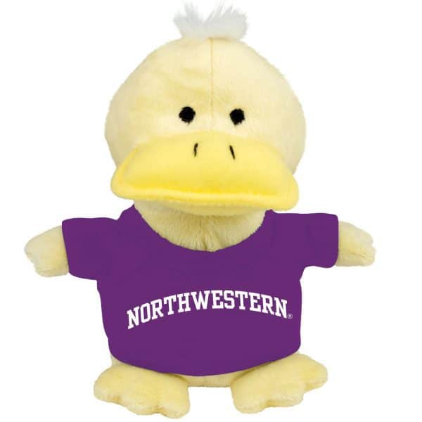 Northwestern University Wildcats Bean Bag Buddy Duck Wearing a Purple Northwestern Tee Shirt