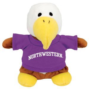 Northwestern Wildcats Bean Bag Buddy Eagle Wearing a Purple Northwestern Tee Shirt