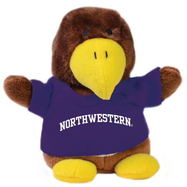 Northwestern Wildcats Bean Bag Buddy Hawk Wearing a Purple Northwestern Tee Shirt