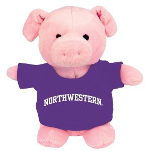 Northwestern Wildcats Bean Bag Buddy Pig Wearing a Purple Northwestern Tee Shirt