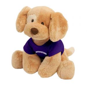 Northwestern Wildcats Riley Wearing Purple "Northwestern" Tee Shirt   